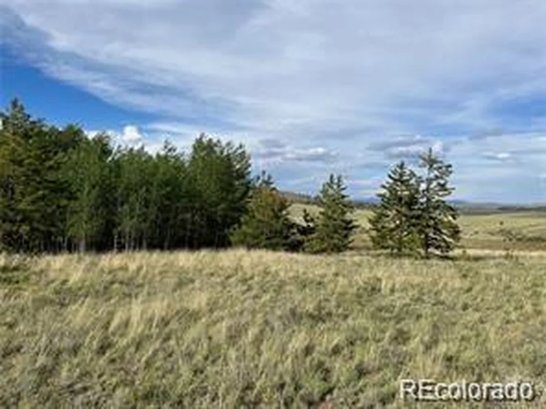 Photo of 1599 Campfire Rd