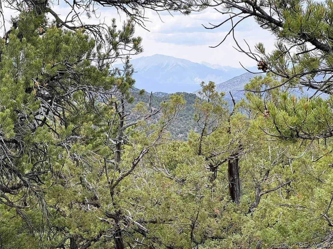 Photo of 3282 Lower Camp Rd