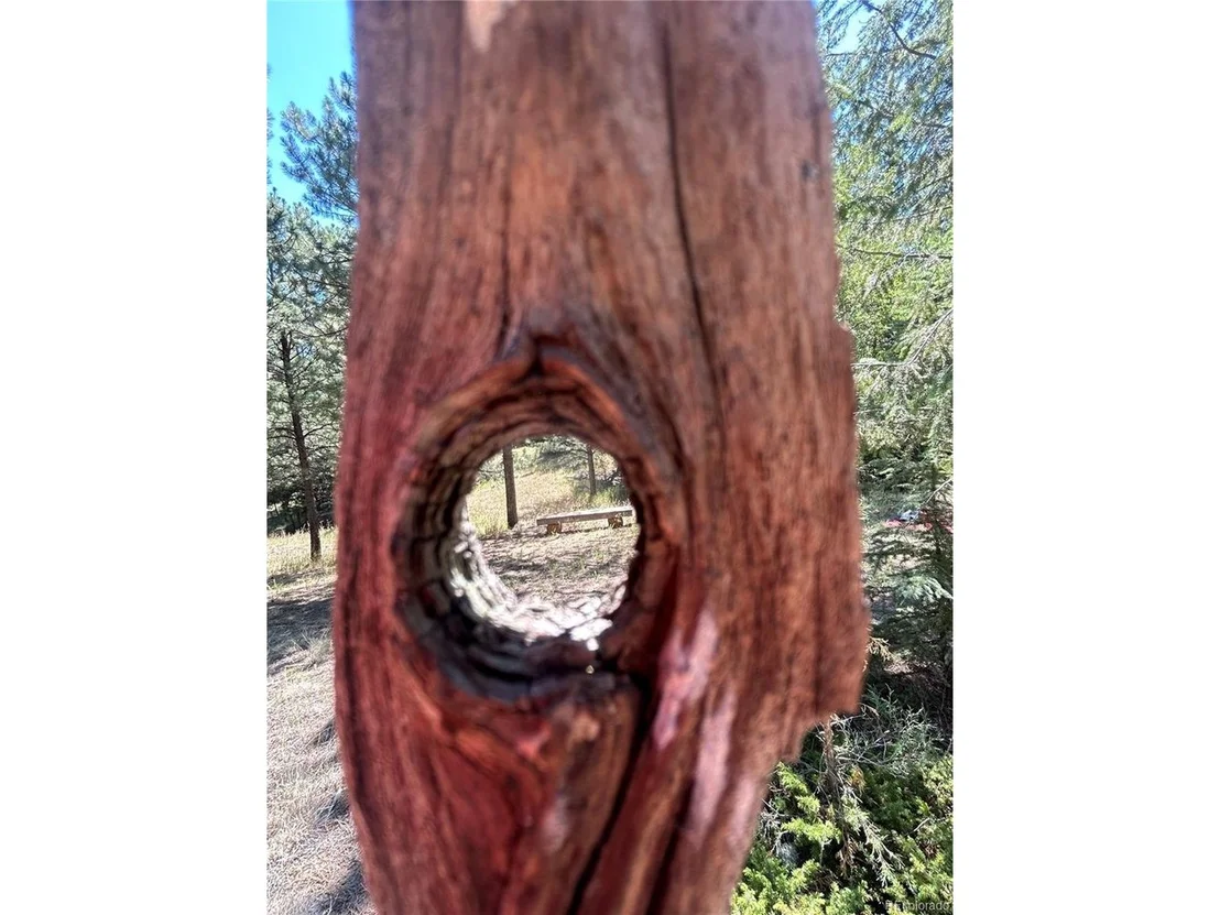 Photo of 14850 Quandary Peak Rd