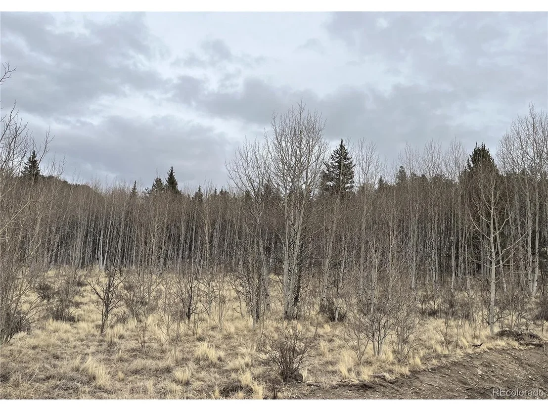 Photo of 688 Ouray Trl
