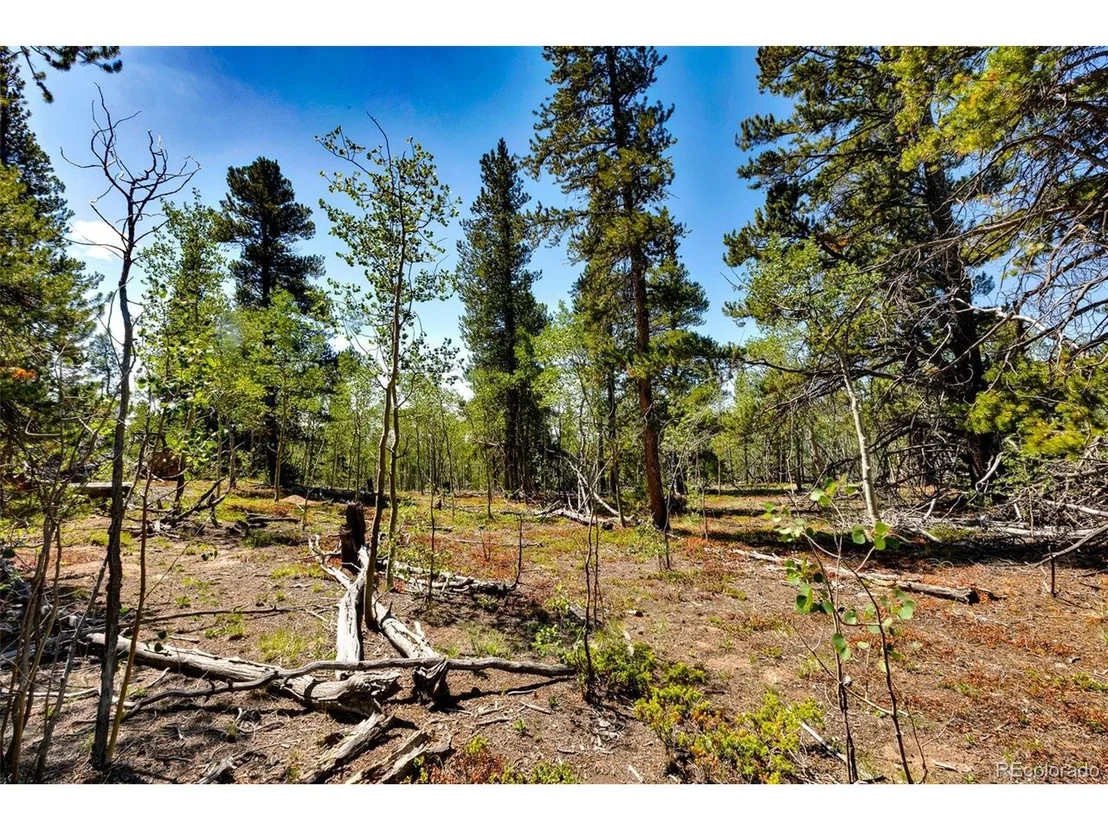 Photo of 497 TEN HIGH Ln