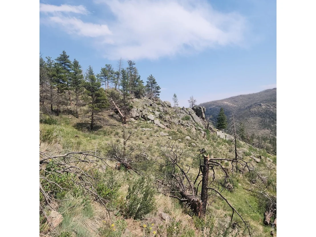 Photo of 693 Cougar Dr