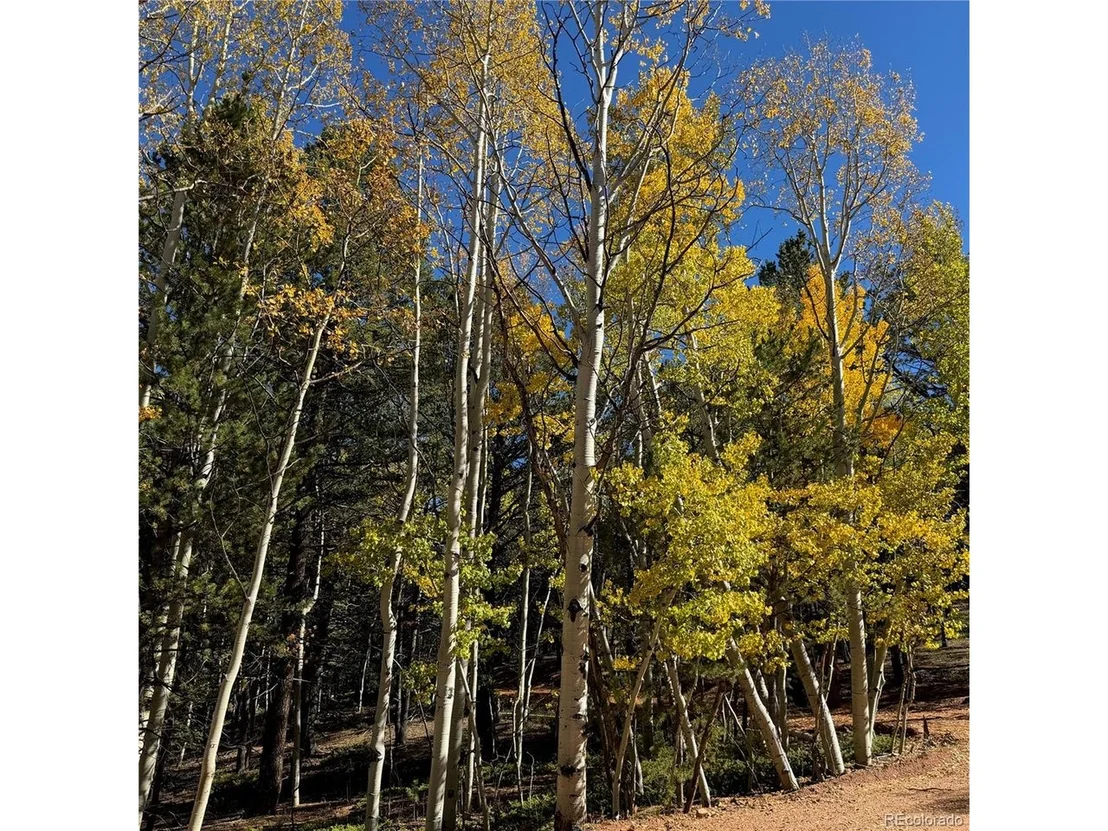 Photo of 800 Timber Ridge Rd