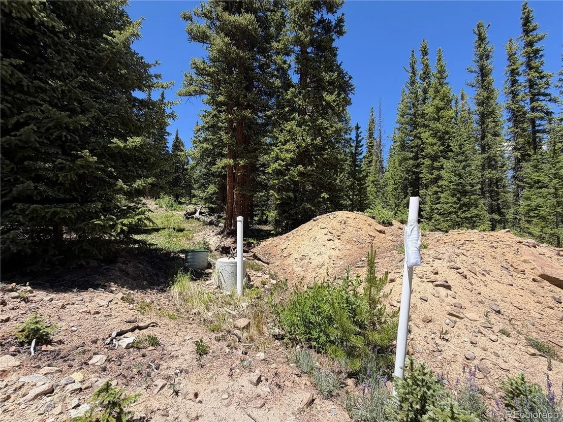 Photo of 339 Silverheels Pl