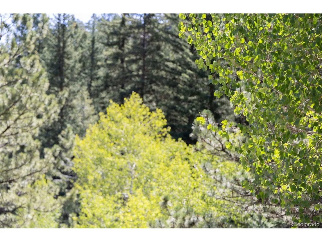 Photo of 14850 Quandary Peak Rd
