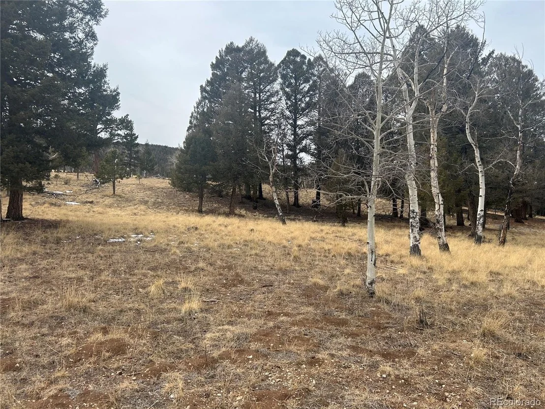 Photo of 1421 Pitchfork Rd