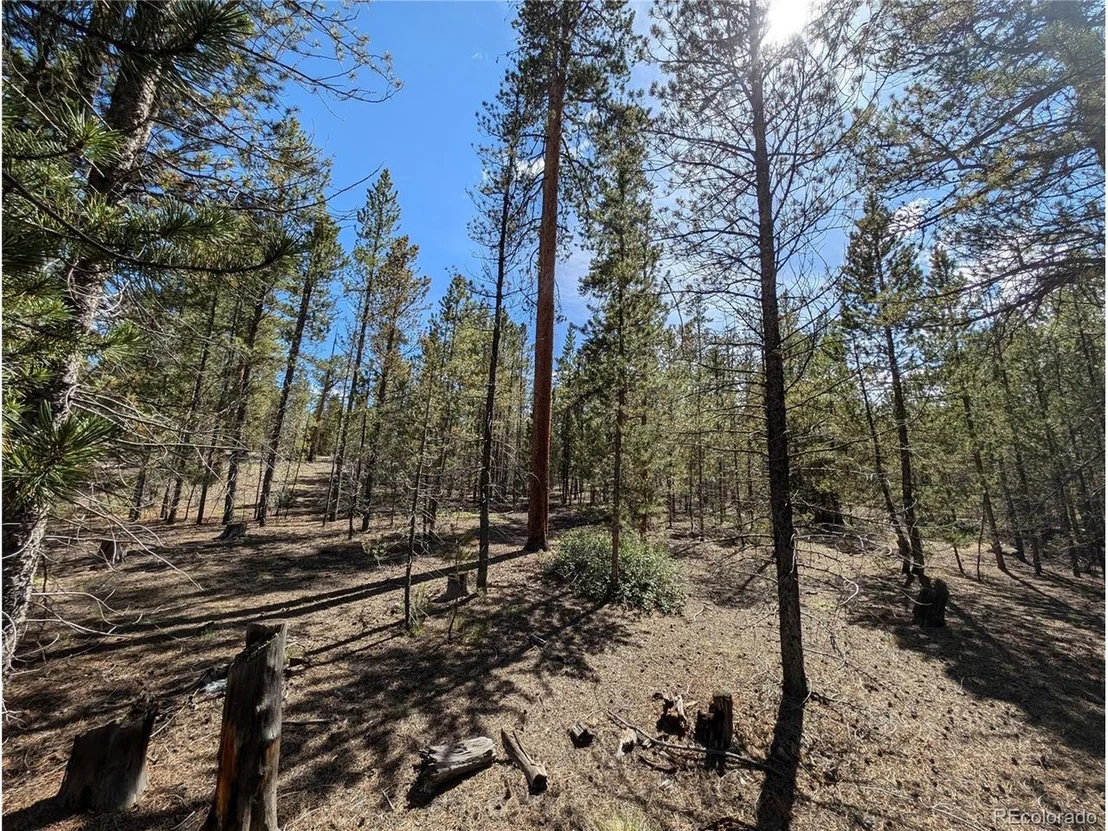 Photo of 495 Birch Dr