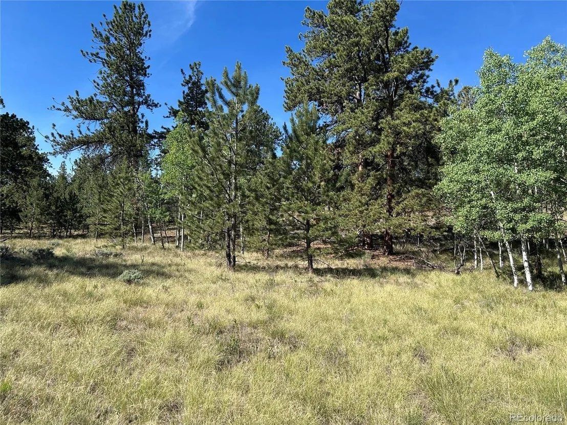 Photo of 519 Hayhook Way