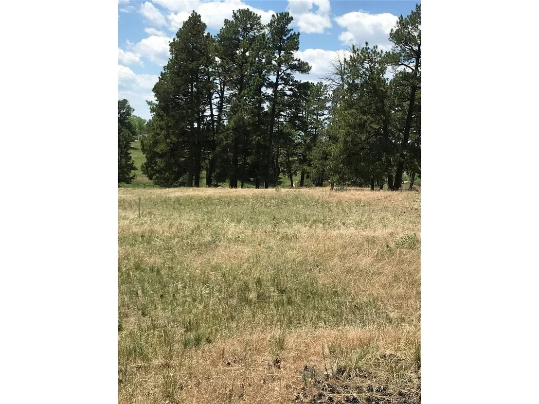 Photo of 10560 Shadow Pines Rd