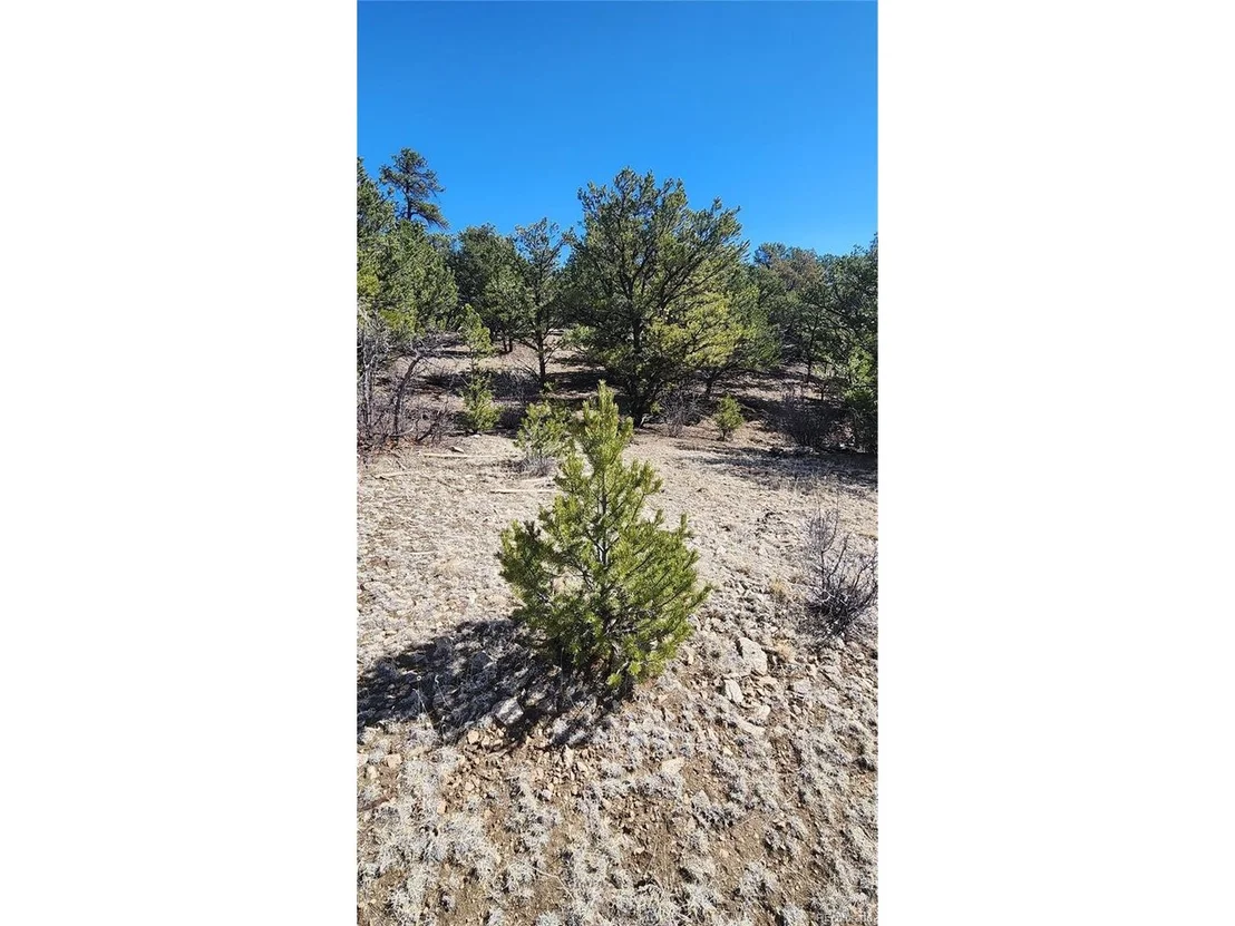 Photo of I Path