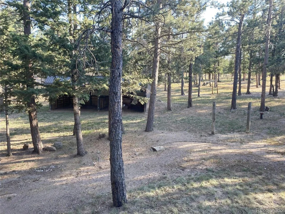 Photo of 133 Mine Ln