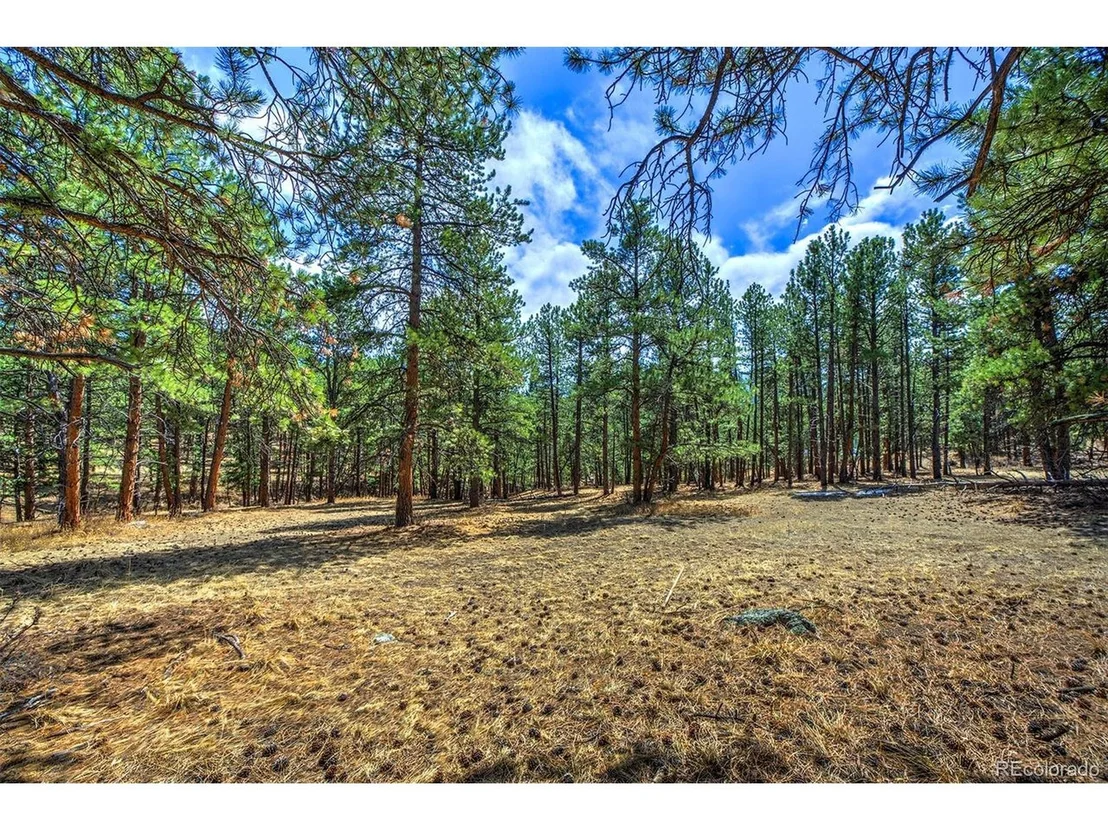 Photo of 27554 Pine Valley Dr