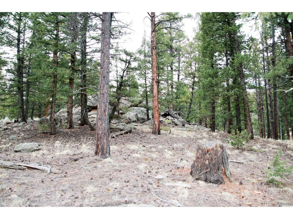Photo of 449 Forest Dr