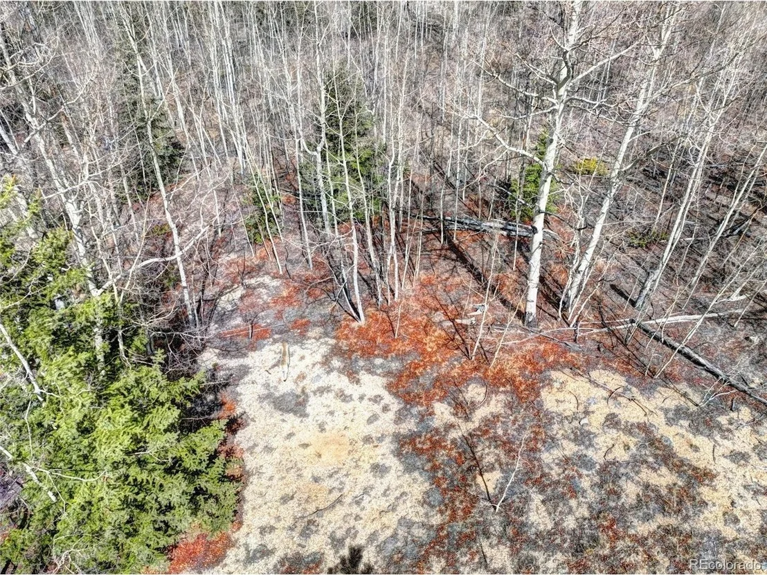 Photo of 101 Patch Ct