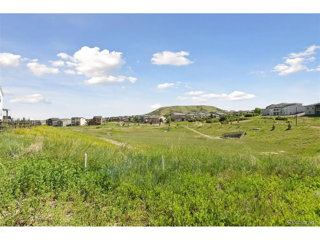 Photo of 81 Simmental Loop