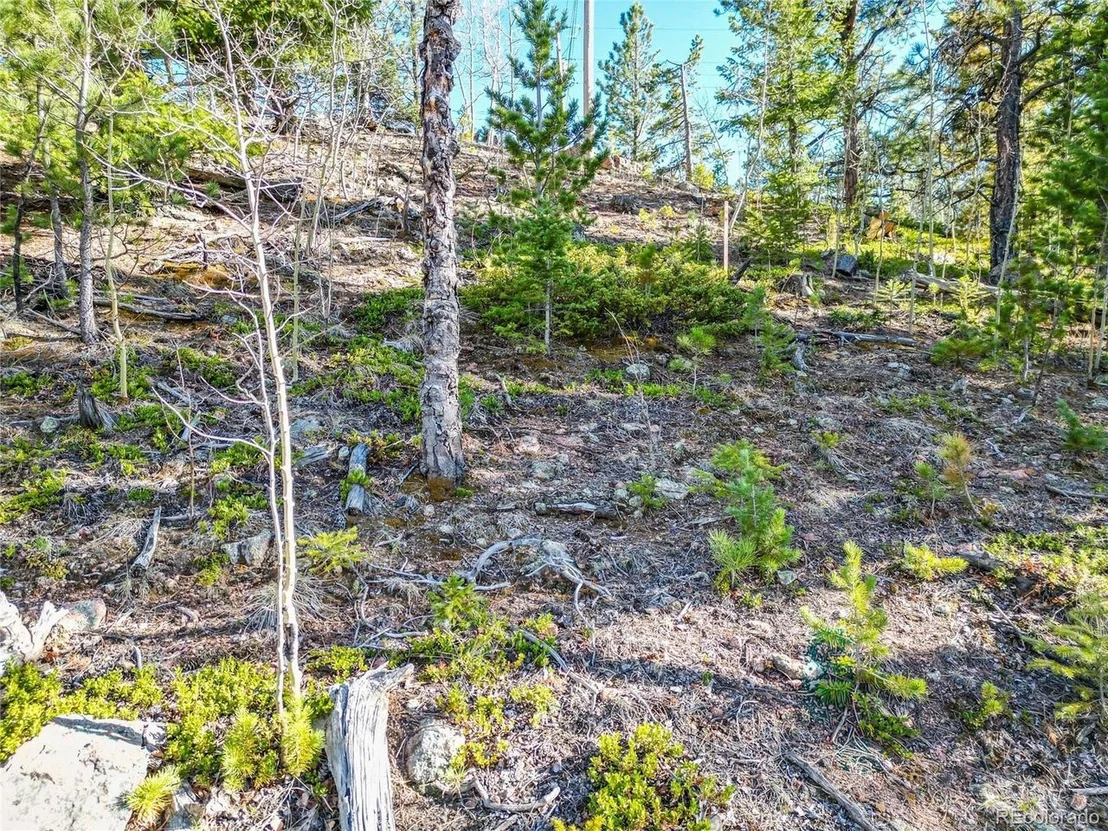 Photo of 272 Wise Rd