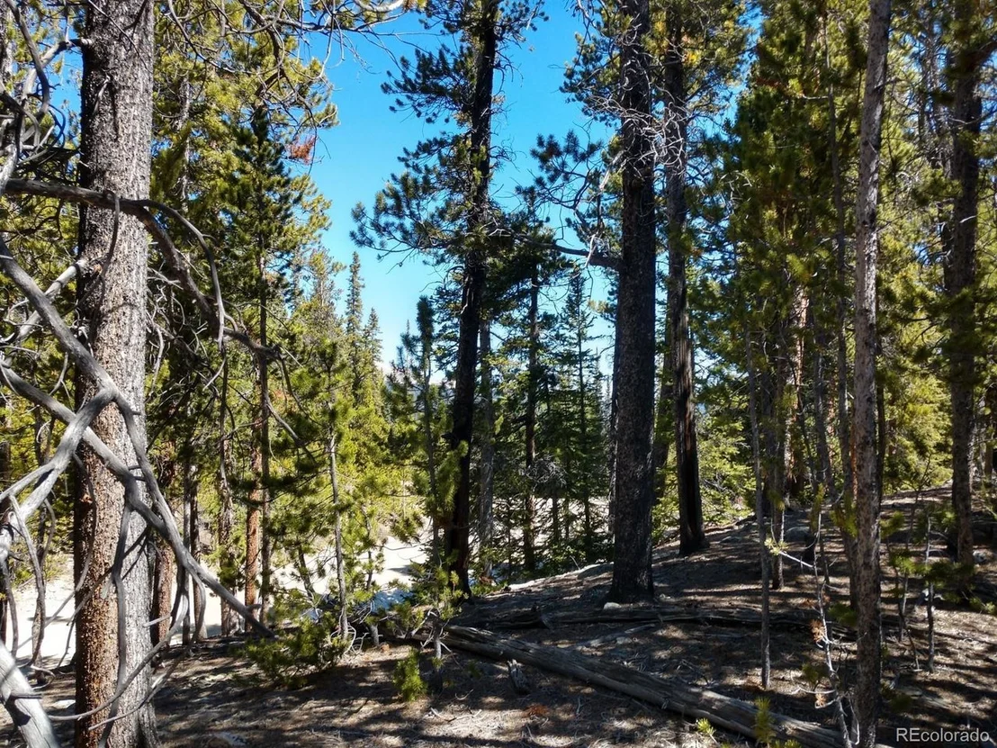 Photo of 710 Kootchie Kootchie Rd