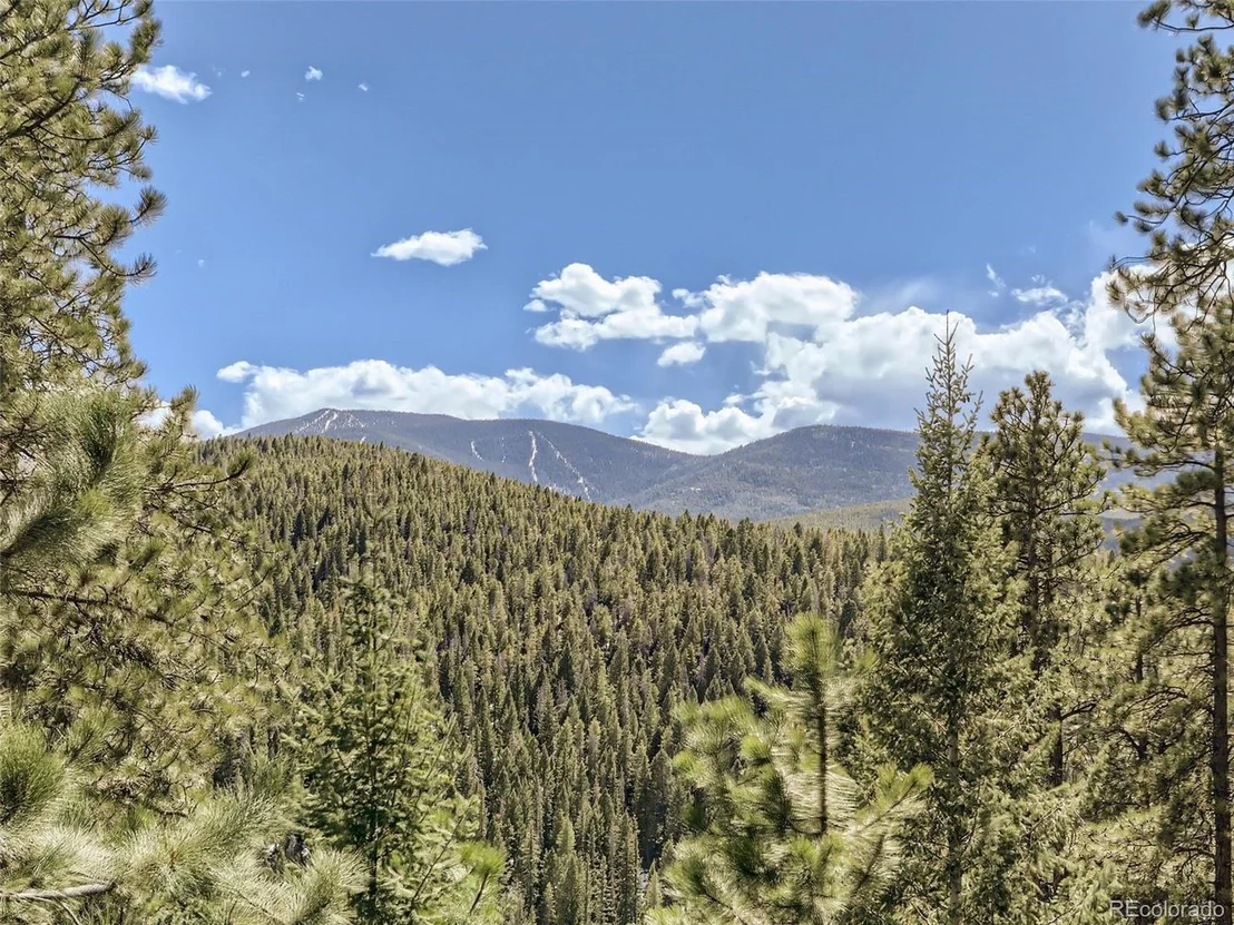Photo of 32936 Timber Ridge Rd