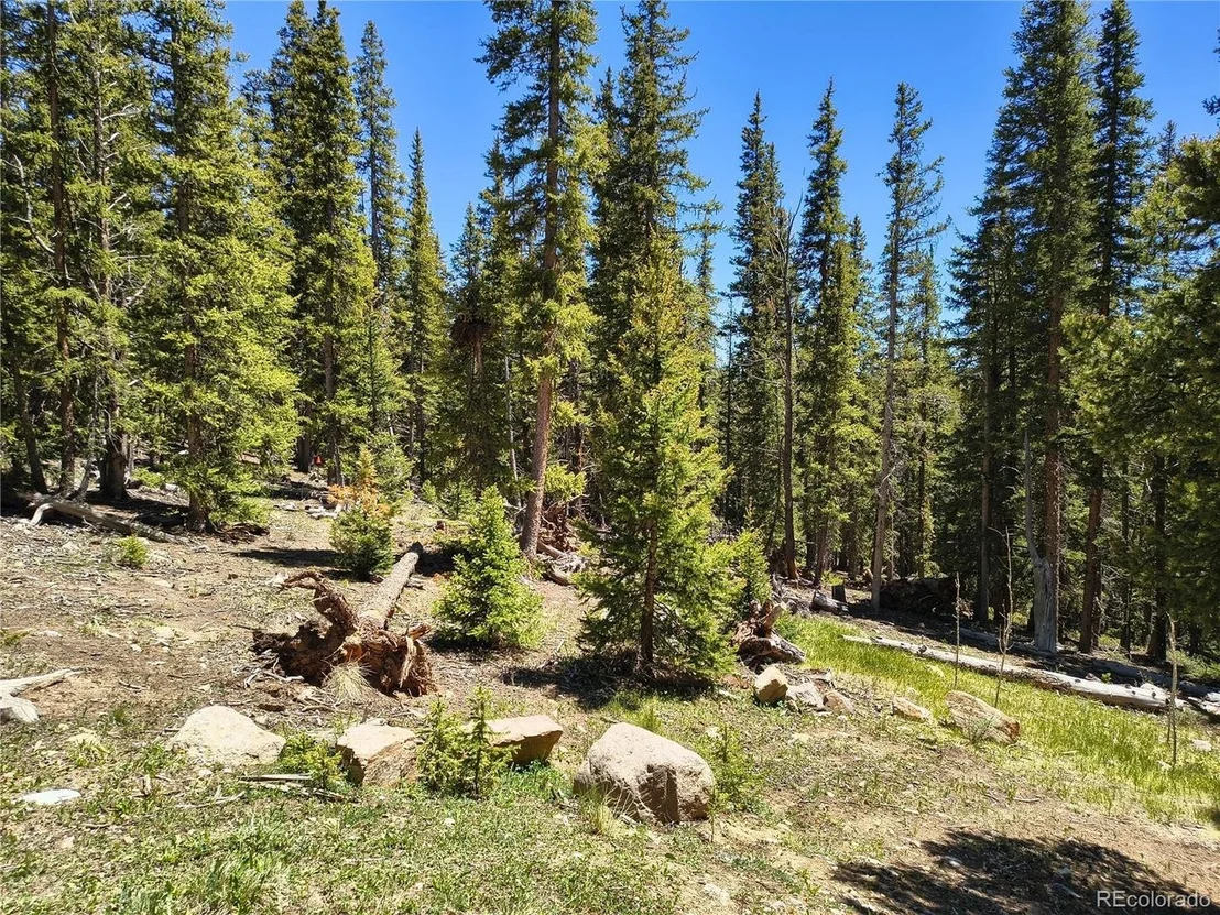 Photo of 226 Pine Cone Way