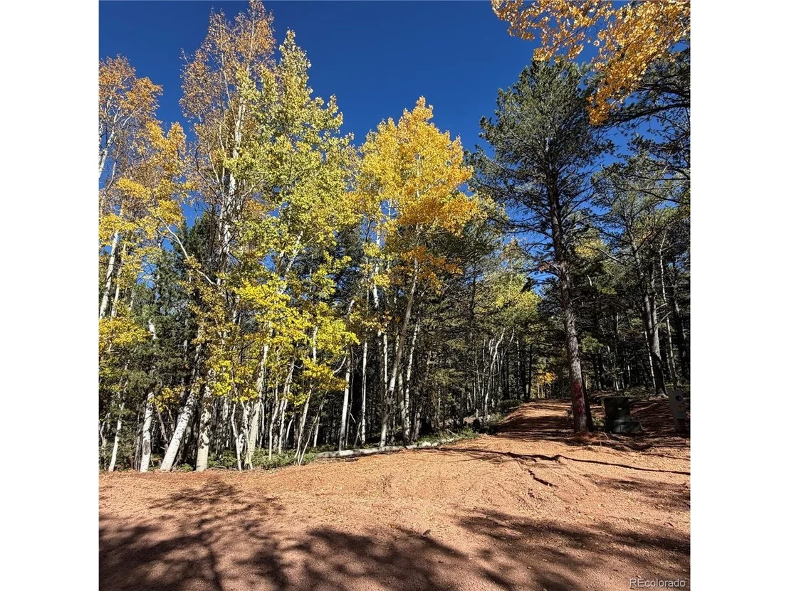 Photo of 773 Timber Ridge Rd
