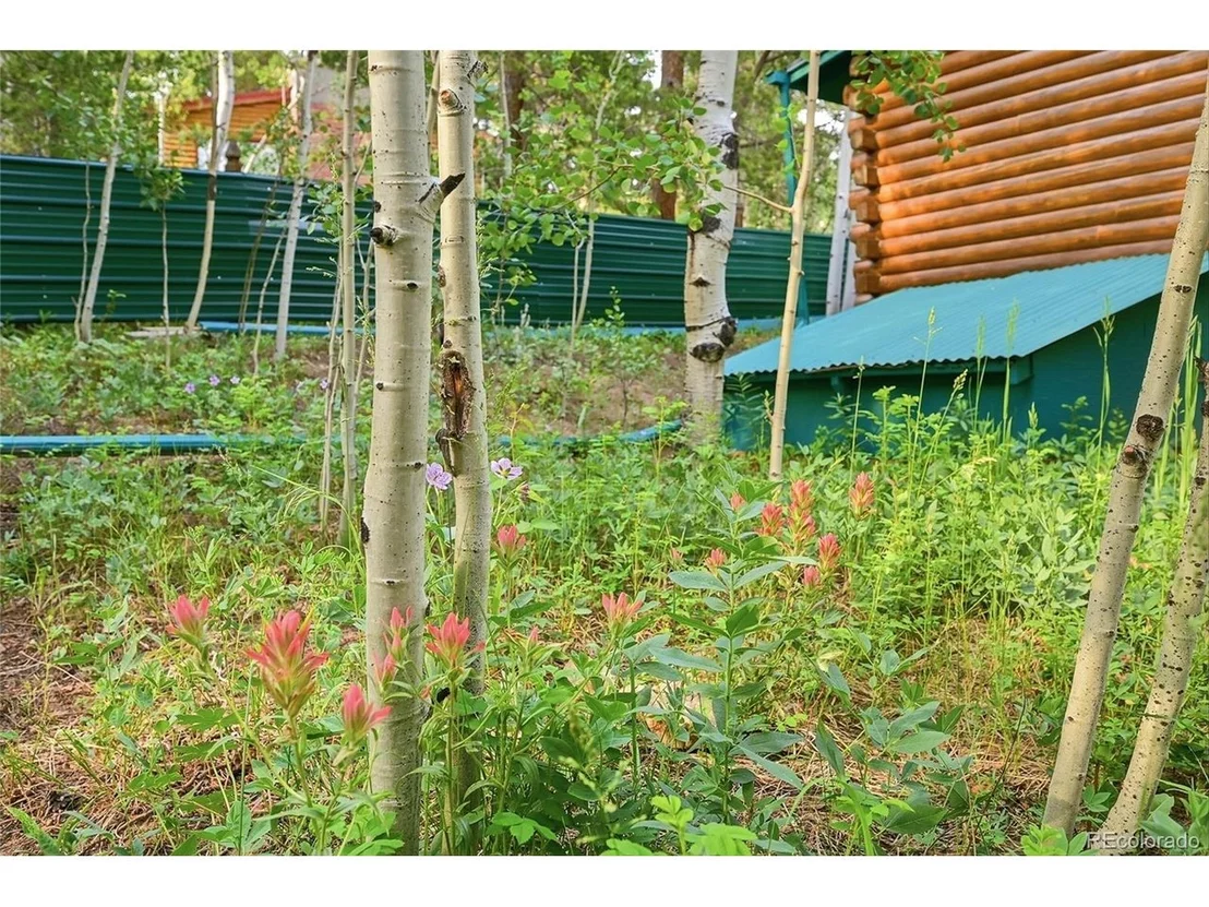 Photo of 464 Long Trail Rd