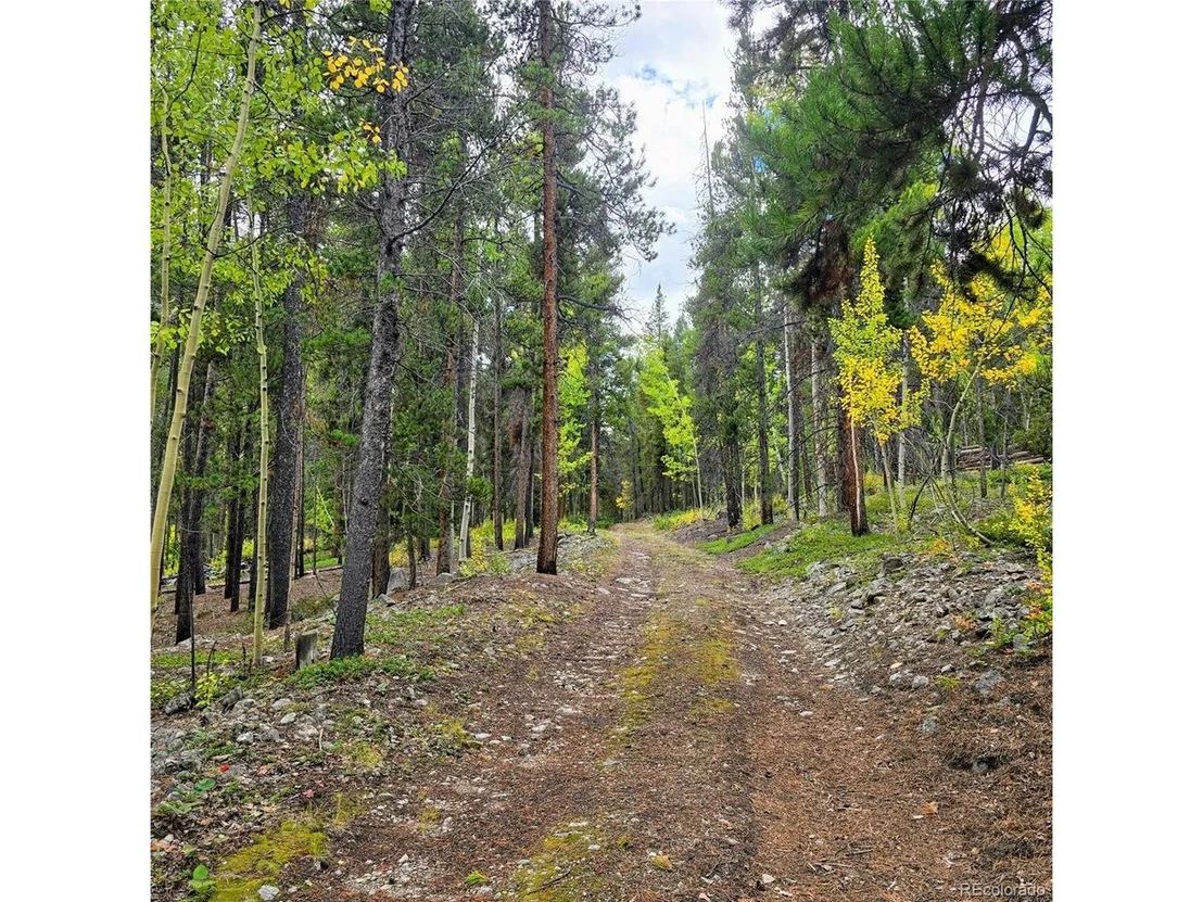 Photo of 16101 Rob Roy MS MC