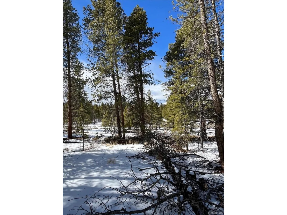 Photo of 28 Juniper Dr