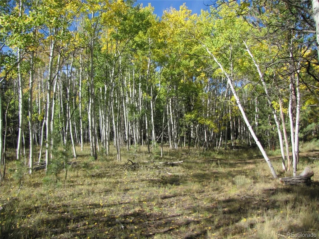 Photo of 700 Campfire Rd