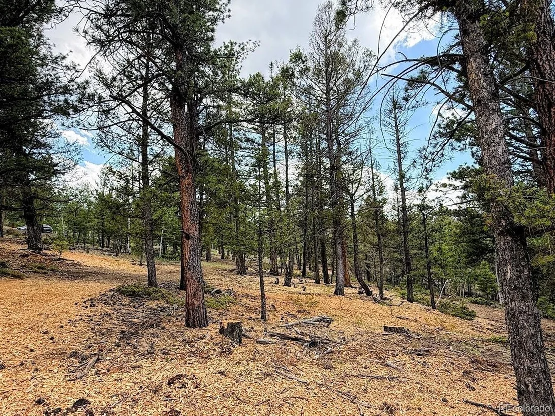 Photo of 1789 Bellows Rd