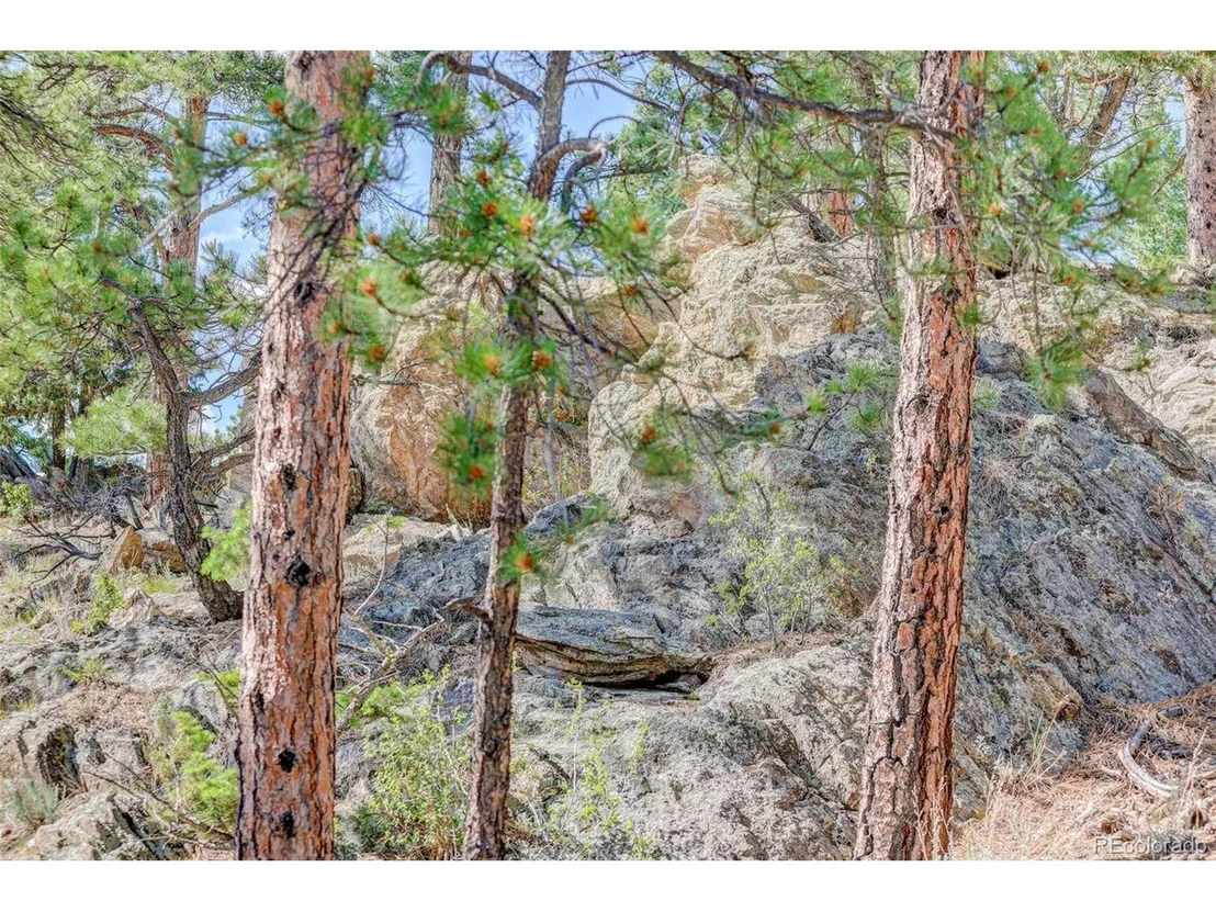 Photo of 45 Catamount Ridge Rd