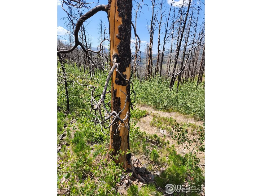 Photo of 963 Crystal Mountain Rd