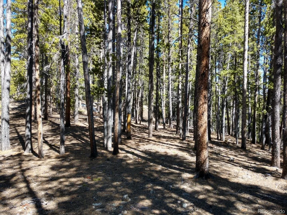 Photo of 710 Kootchie Kootchie Rd