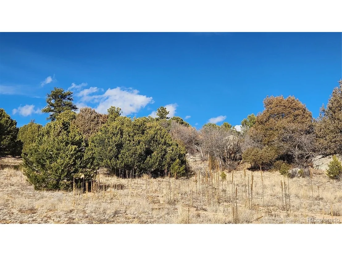 Photo of 47 White Cloud Dr