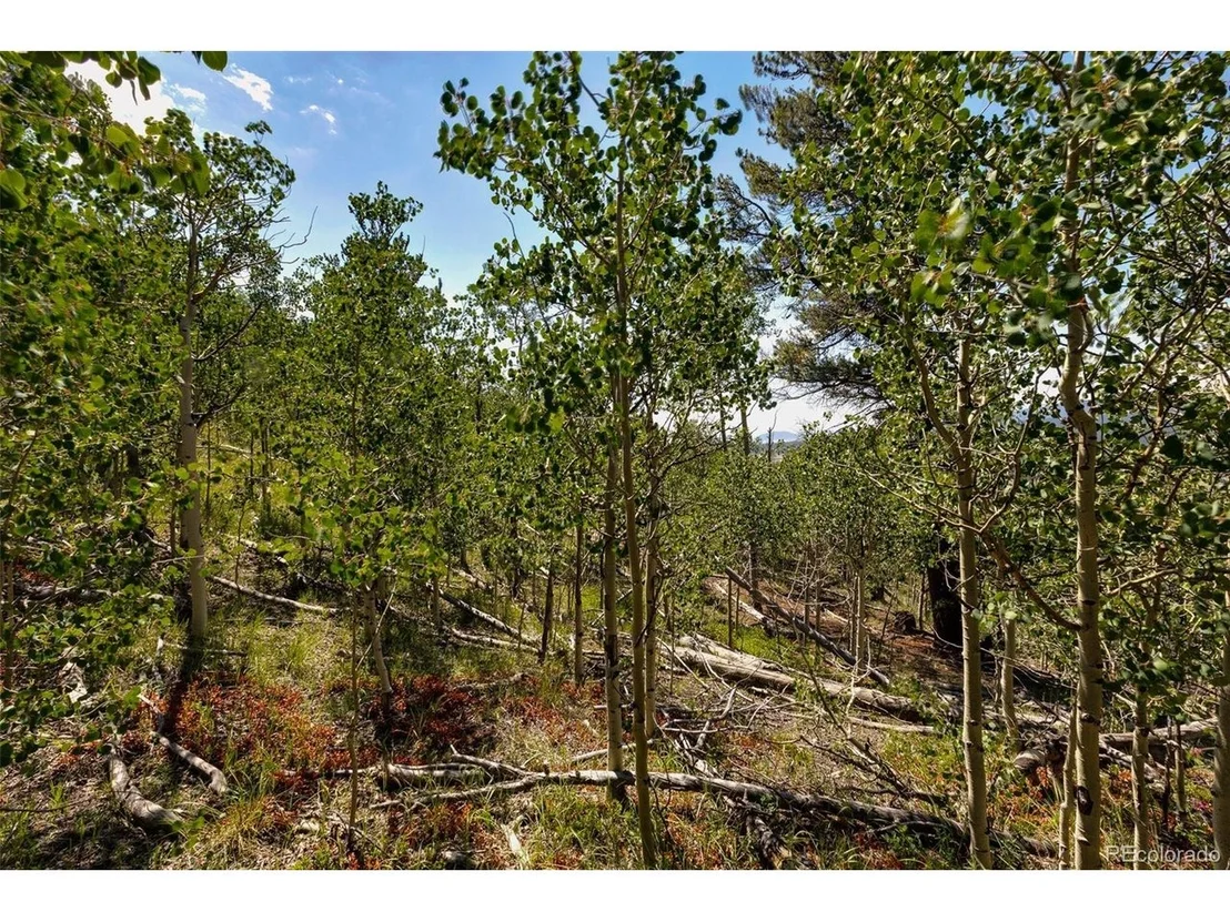 Photo of 497 TEN HIGH Ln