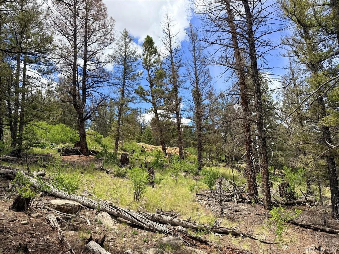 Photo of 1396 Middle Fork Vis