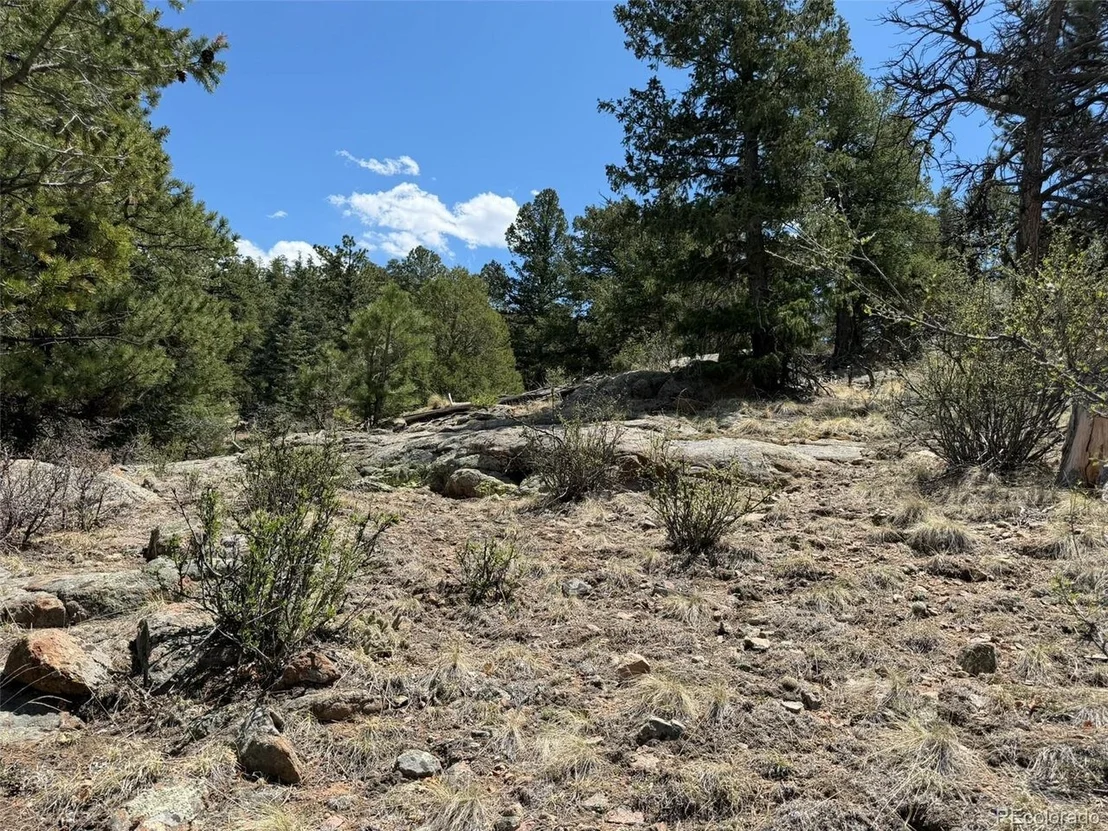 Photo of 477 Bear Peak Rd