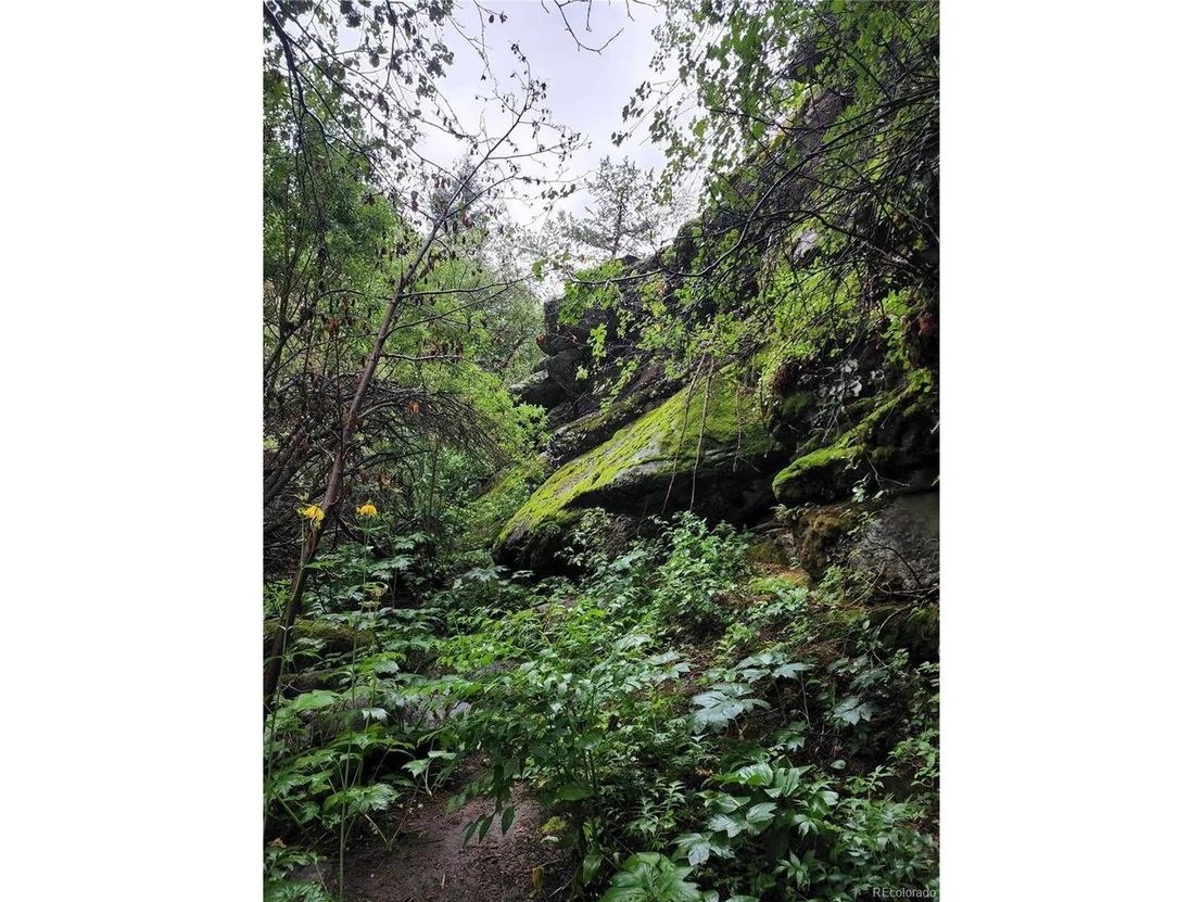 Photo of 31429 Burke Rd