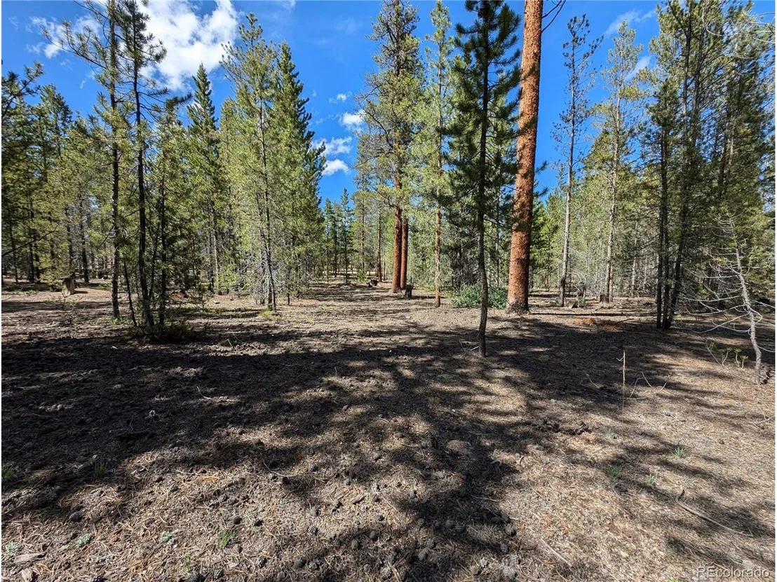 Photo of 495 Birch Dr