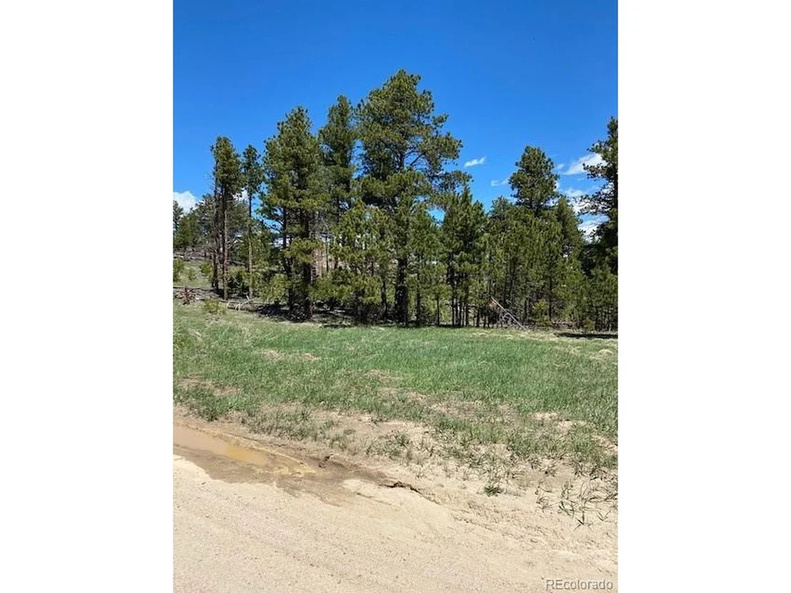 Photo of 1009 County Road 87J