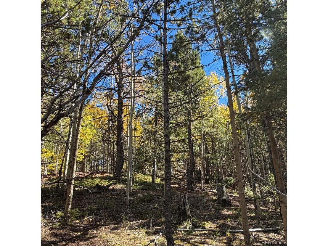 Photo of 773 Timber Ridge Rd
