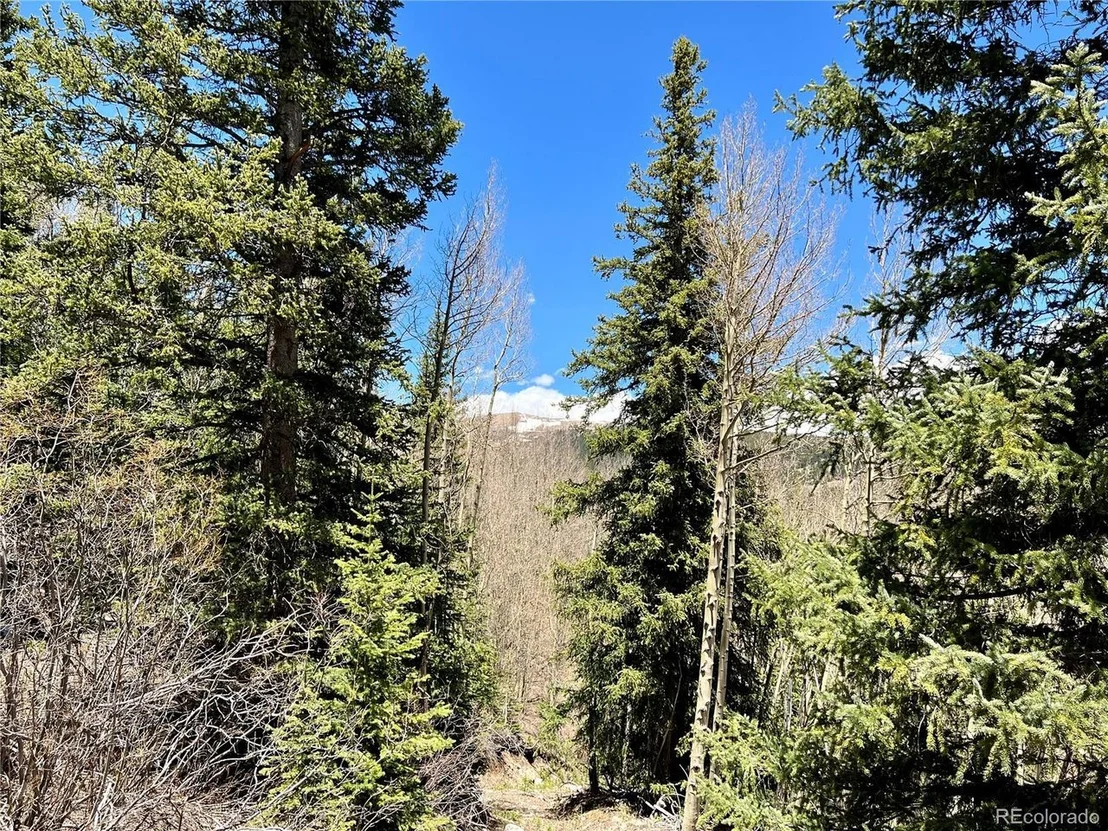 Photo of 529 Roberts Rd