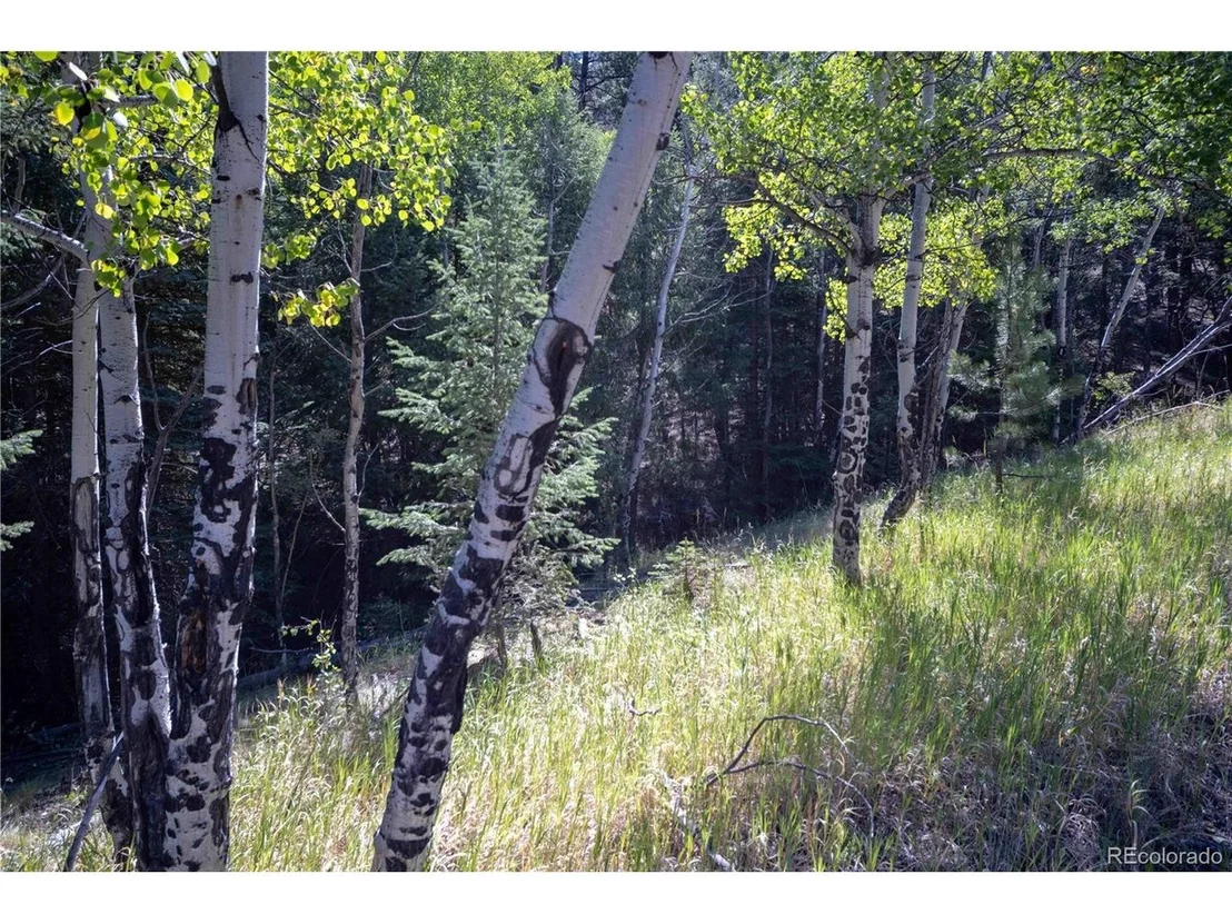 Photo of 14850 Quandary Peak Rd
