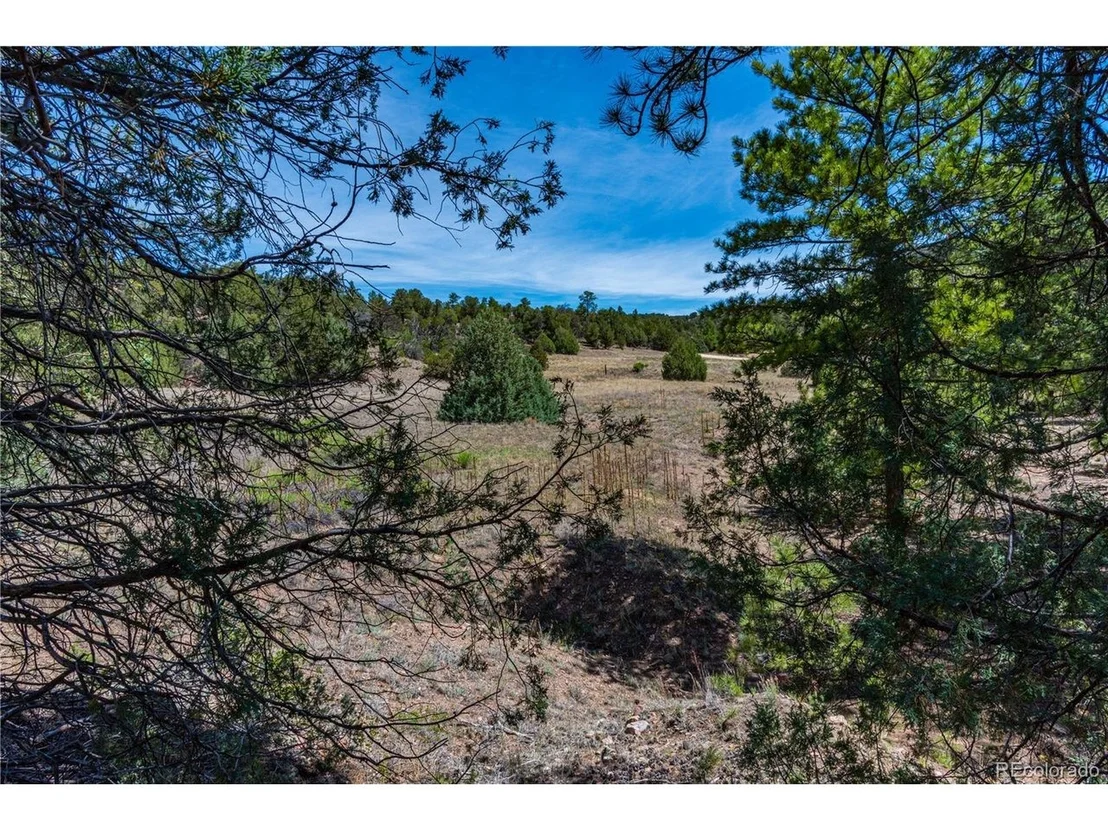 Photo of Arnold Dr