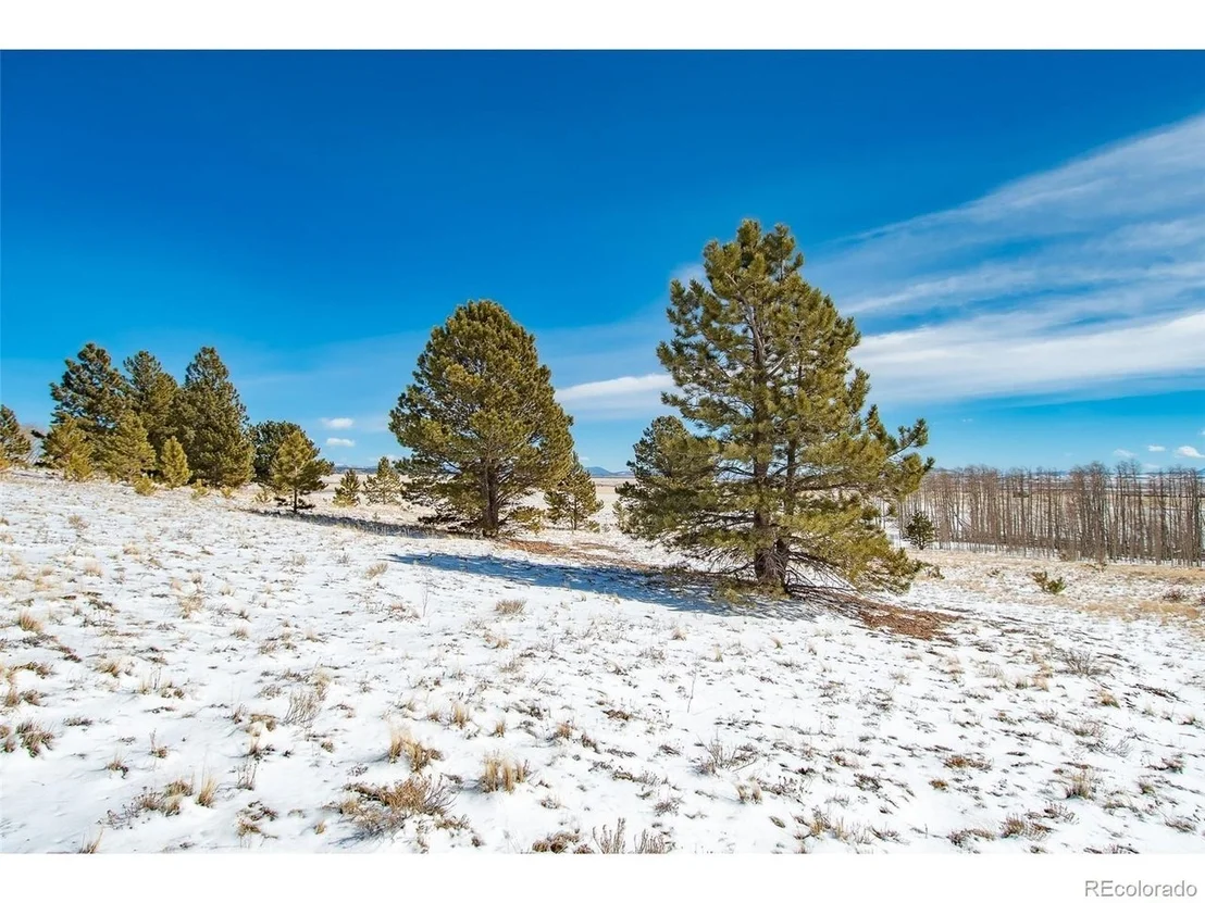 Photo of 1327 Sheep Ridge Rd