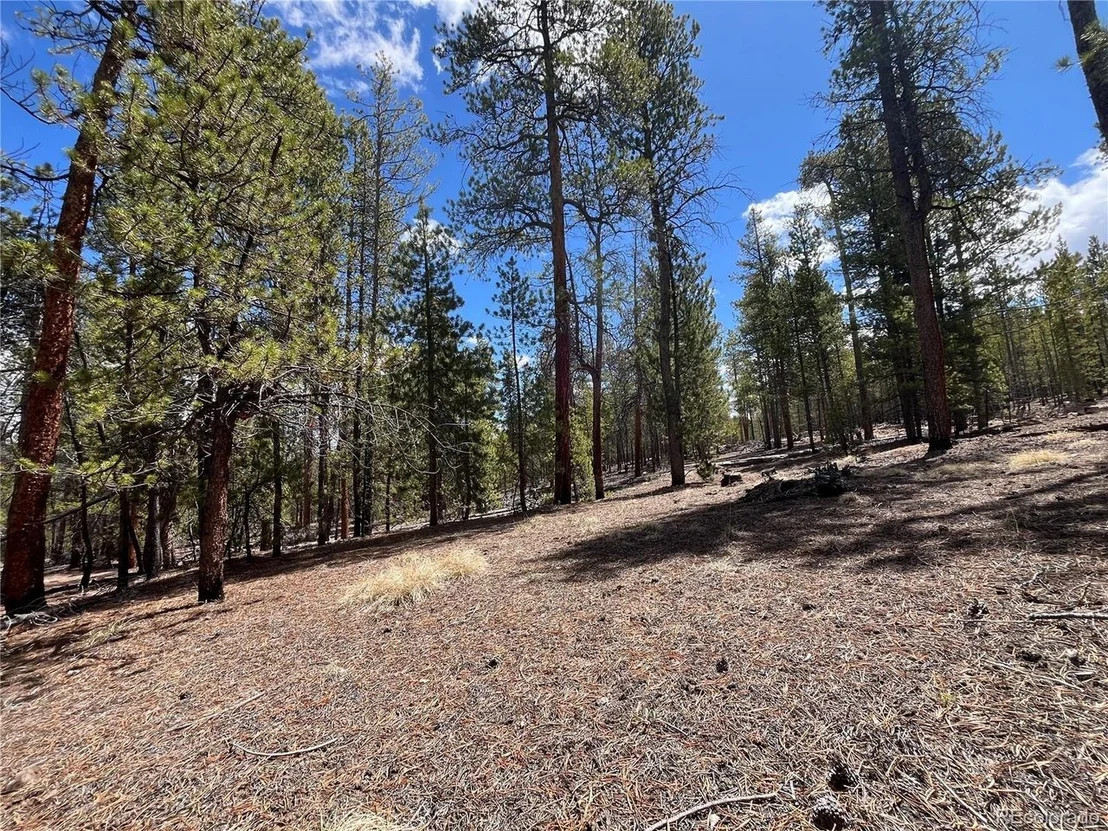 Photo of 1013 Sequoia Dr