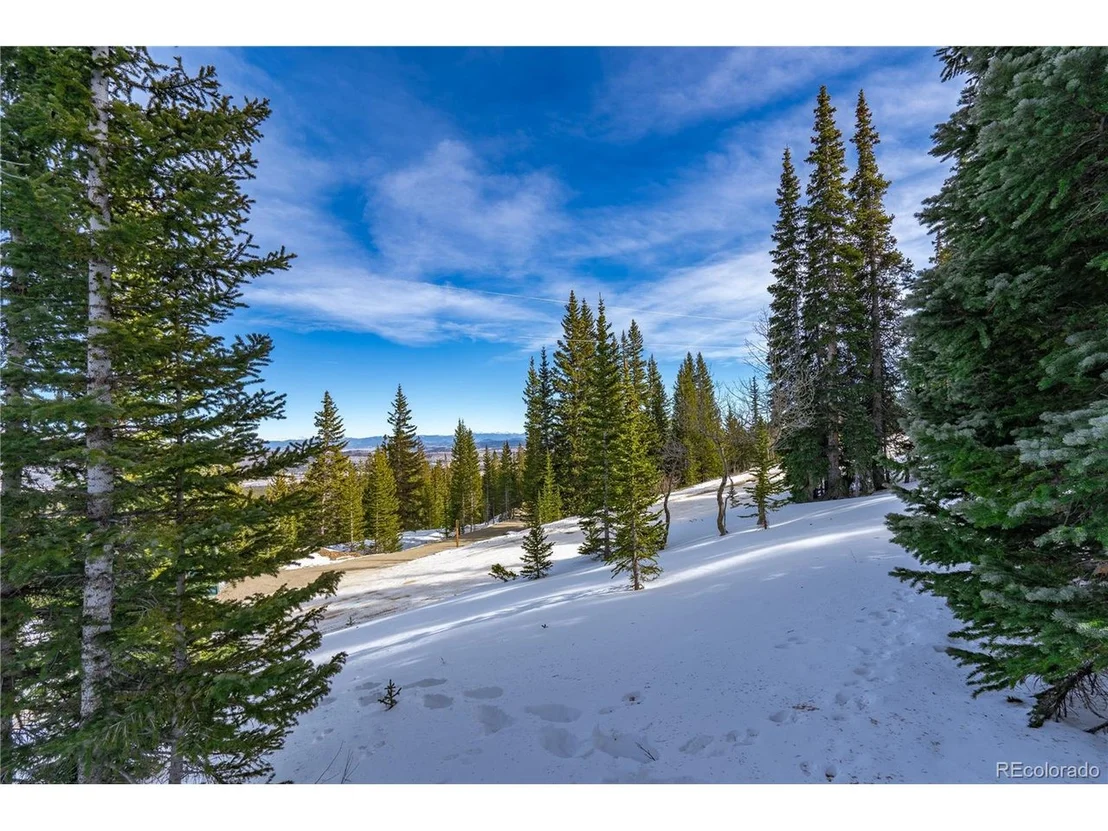 Photo of 503 Silverheels Pl