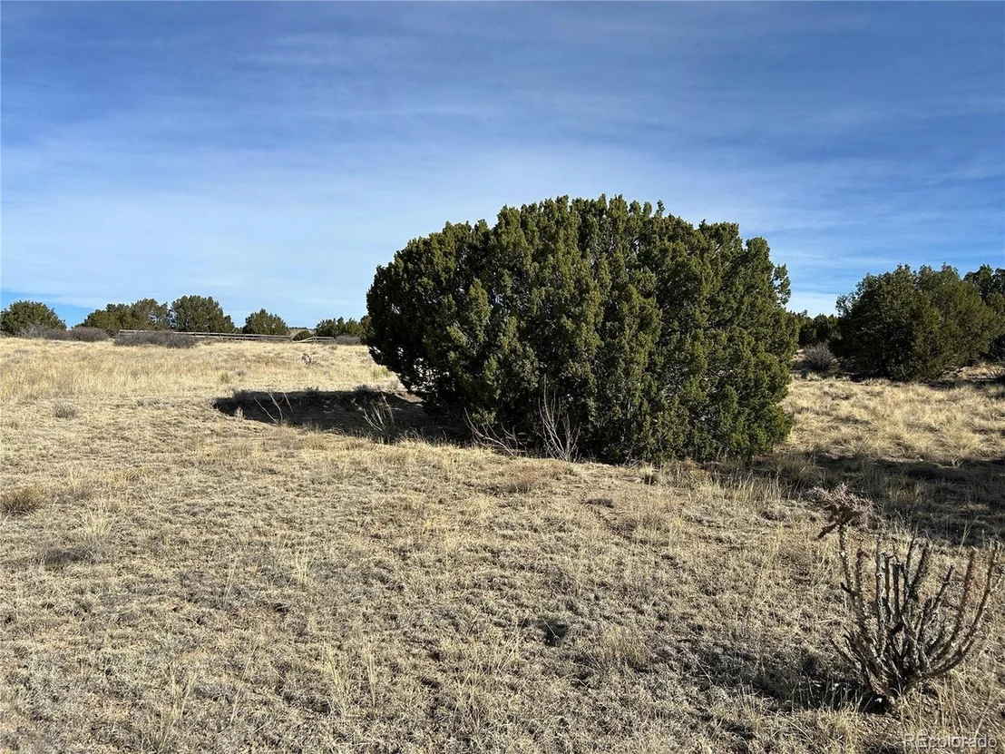 Photo of 122 Ghost River Ranch