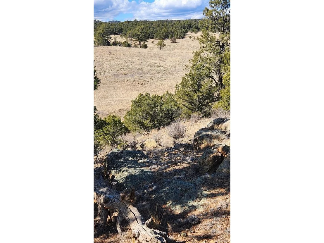 Photo of 311 Kit Carson Trl