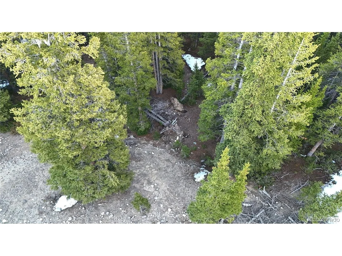Photo of 252 Silverheels Pl