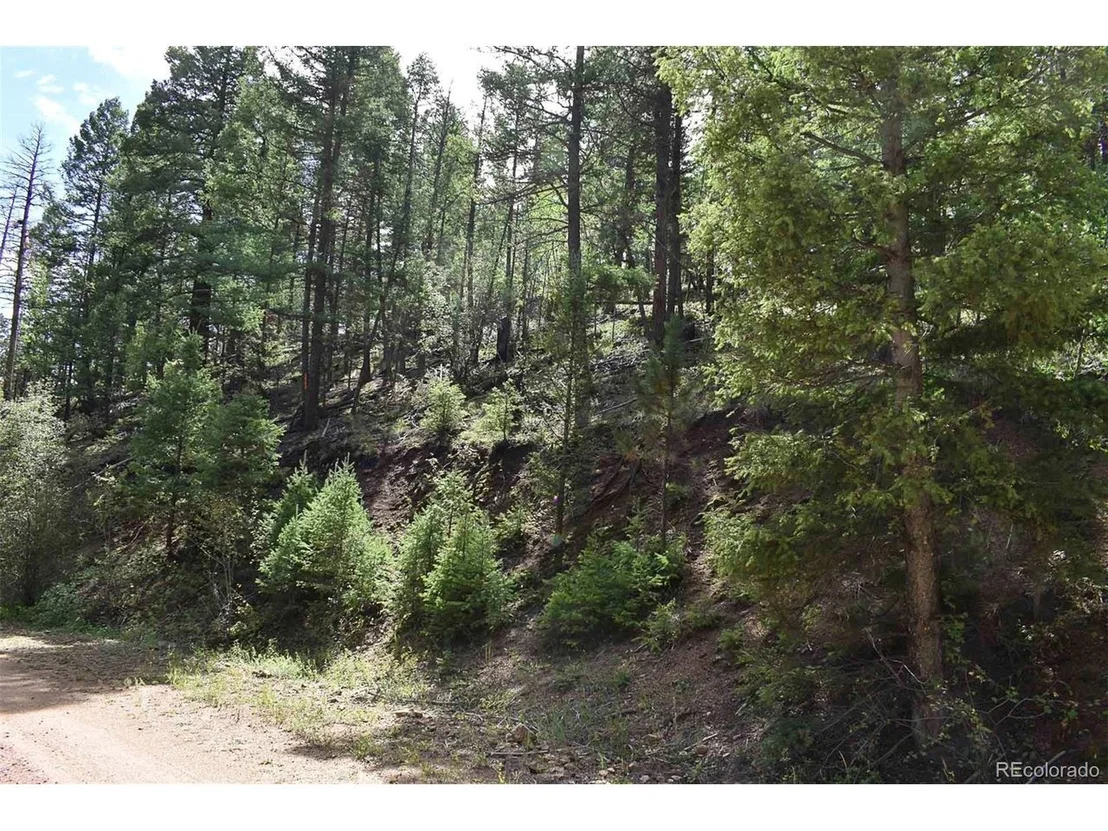 Photo of 281 Deer Ln